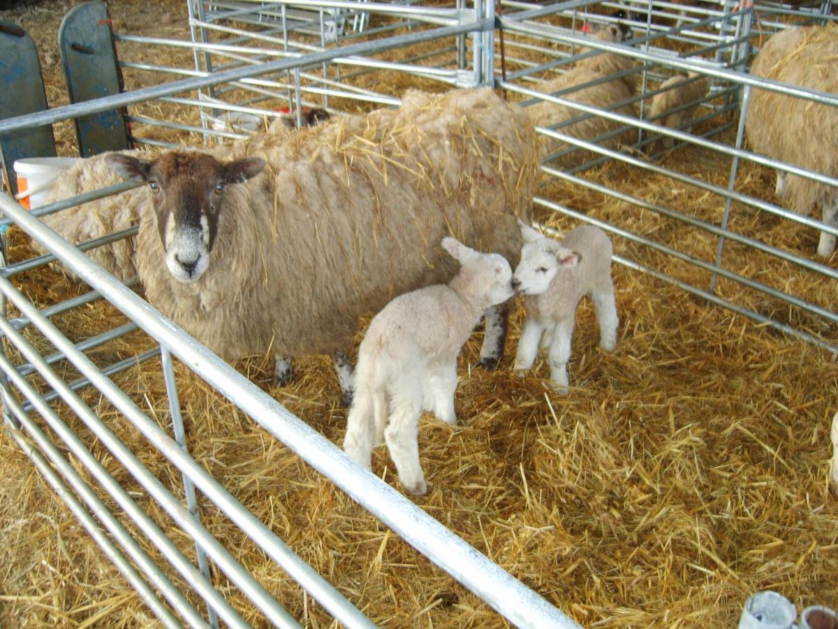 Church Farm 埃文河畔斯特拉特福 外观 照片