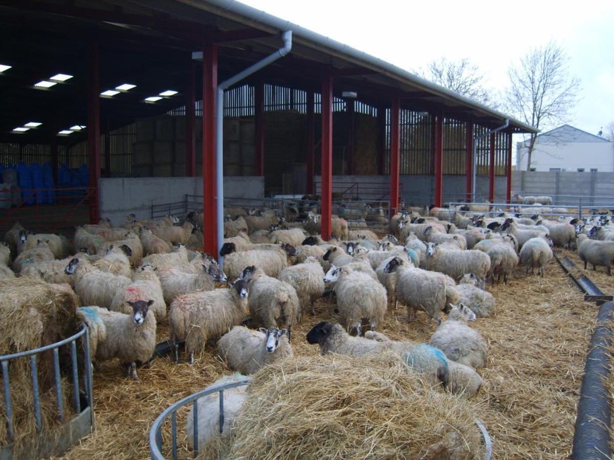Church Farm 埃文河畔斯特拉特福 外观 照片